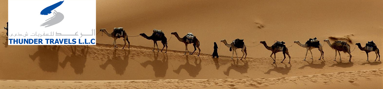 Desert Safari - Experience of Ancient Arab History